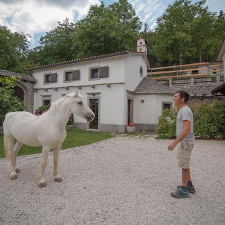 Tmbin'S Barn - Nature, Horses, Family Sezana Ngoại thất bức ảnh
