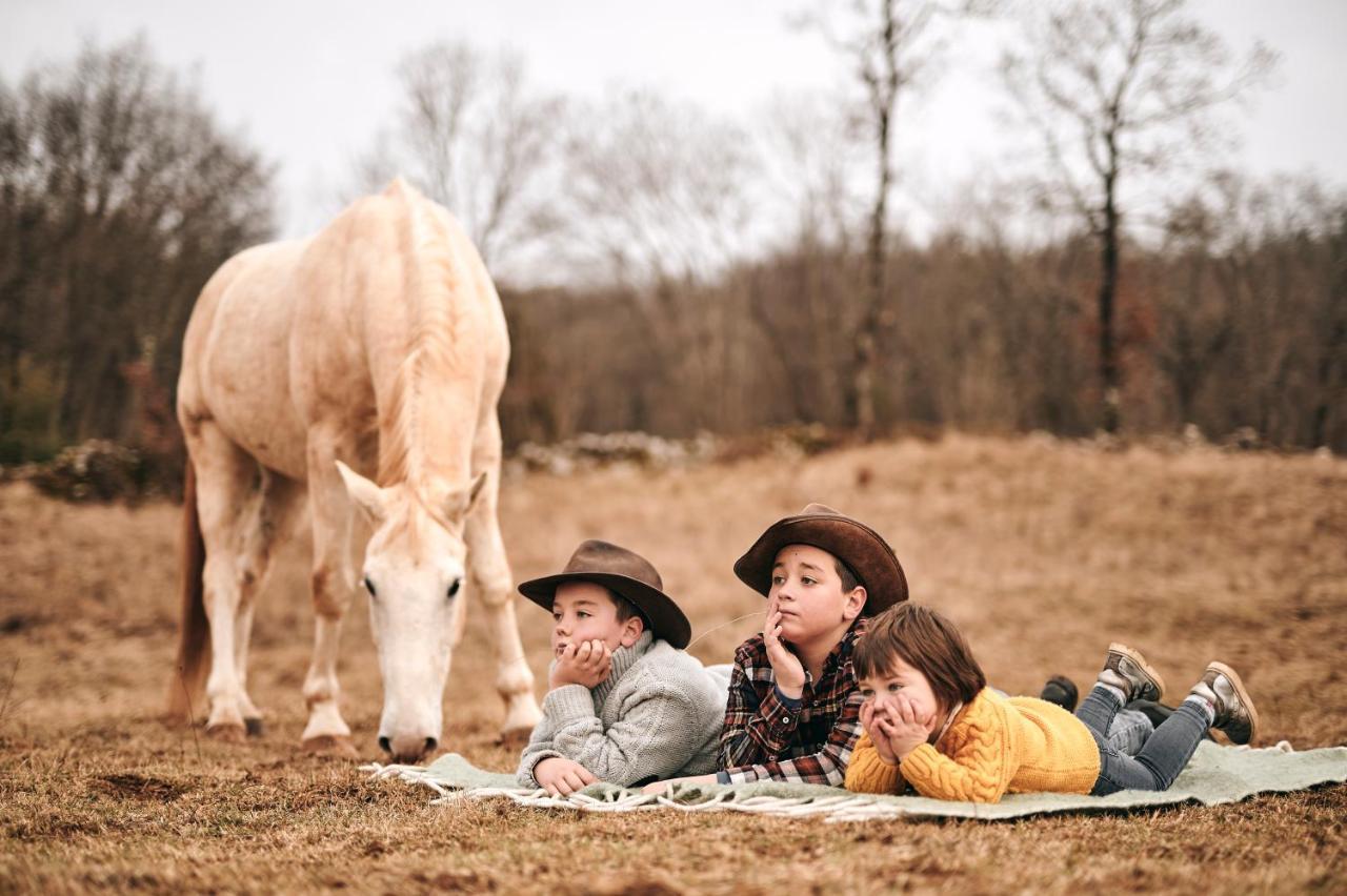 Tmbin'S Barn - Nature, Horses, Family Sezana Ngoại thất bức ảnh
