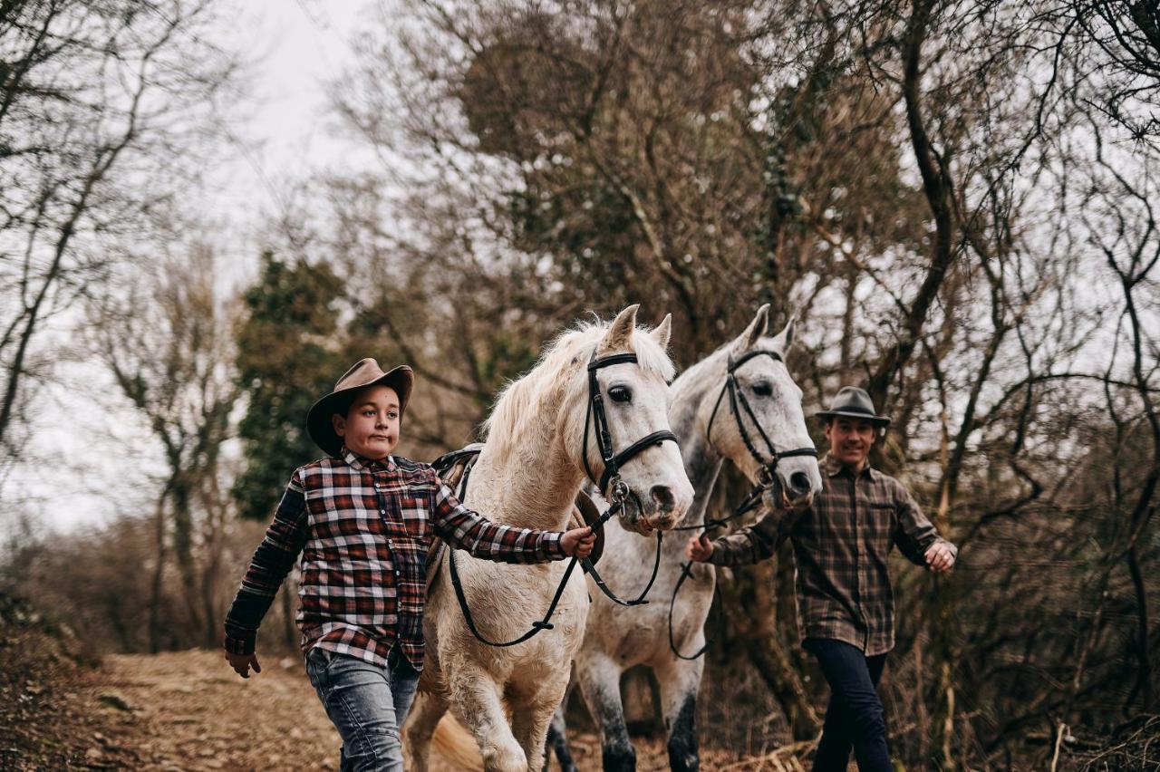 Tmbin'S Barn - Nature, Horses, Family Sezana Ngoại thất bức ảnh